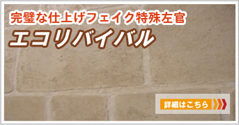 エコリバイバル工法 施行例